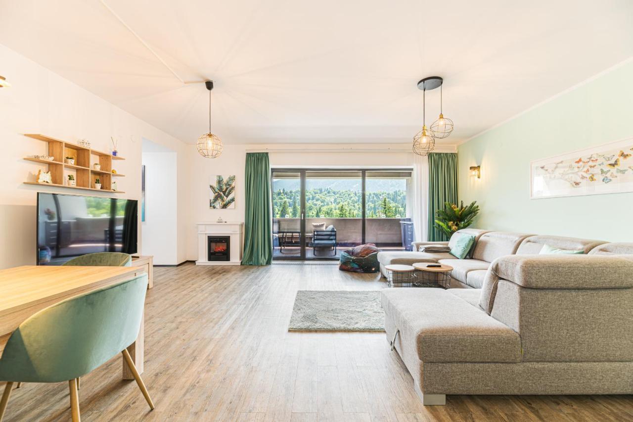 Fabulous Panorama Silver Mountain Apartments 波亚纳布拉索夫 外观 照片