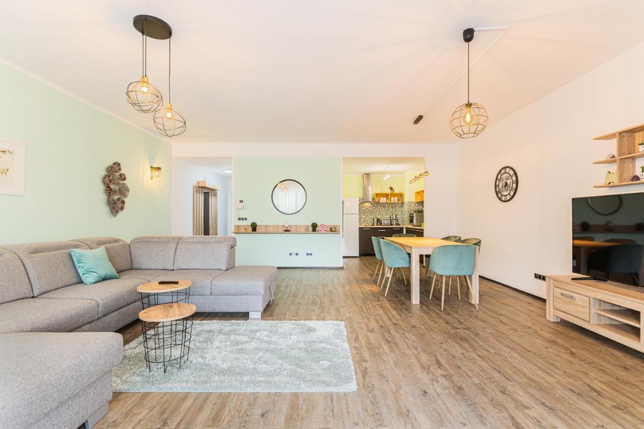 Fabulous Panorama Silver Mountain Apartments 波亚纳布拉索夫 外观 照片