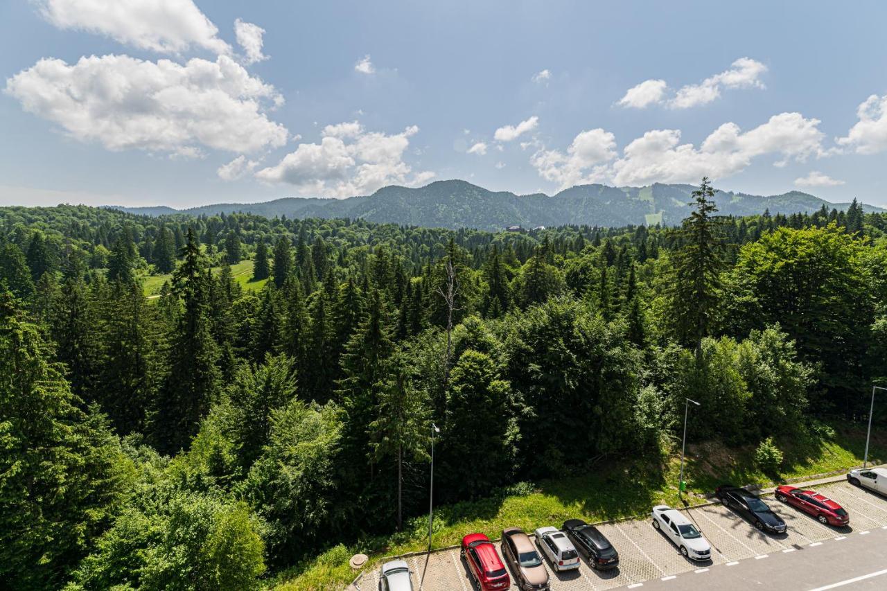 Fabulous Panorama Silver Mountain Apartments 波亚纳布拉索夫 外观 照片