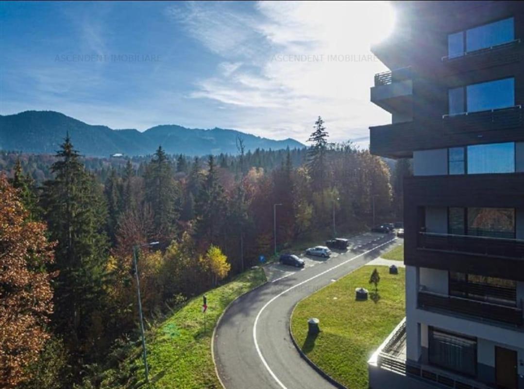 Fabulous Panorama Silver Mountain Apartments 波亚纳布拉索夫 外观 照片