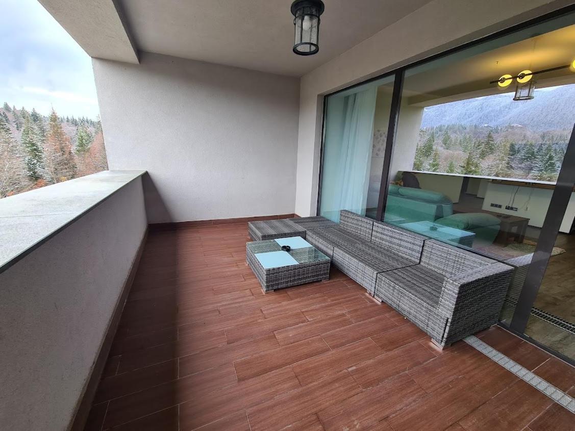 Fabulous Panorama Silver Mountain Apartments 波亚纳布拉索夫 外观 照片