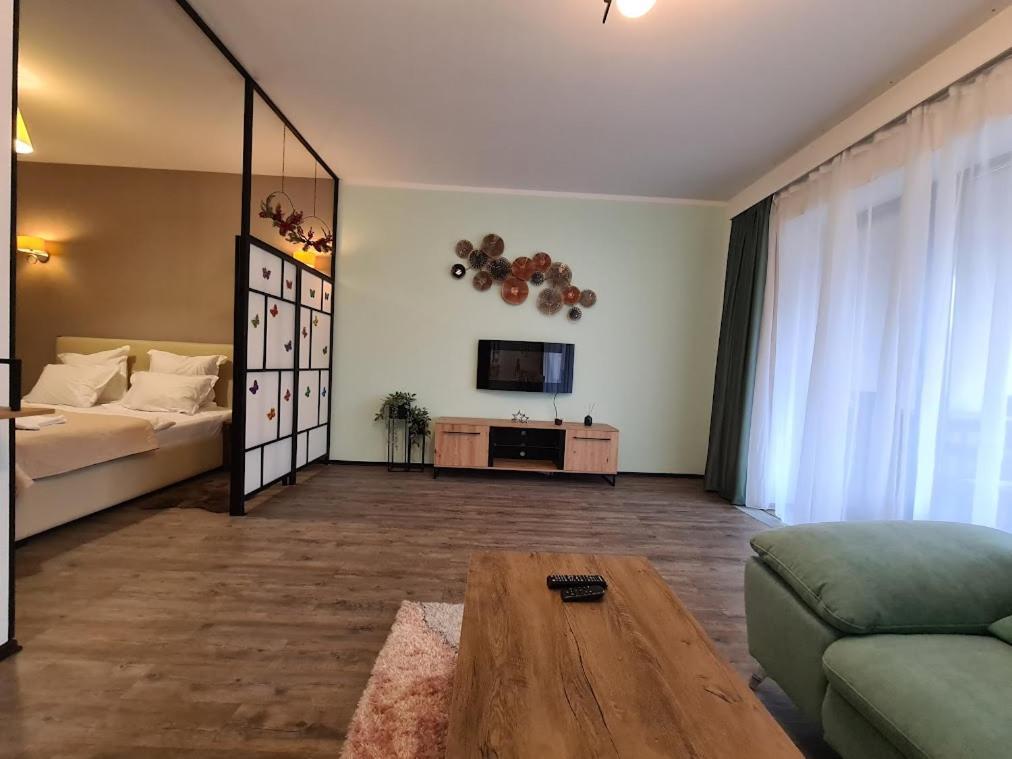 Fabulous Panorama Silver Mountain Apartments 波亚纳布拉索夫 外观 照片