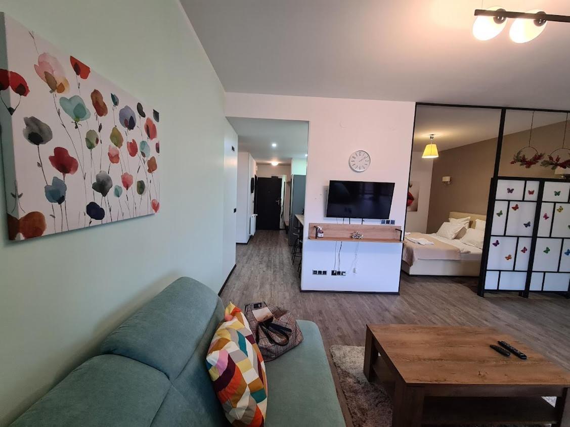 Fabulous Panorama Silver Mountain Apartments 波亚纳布拉索夫 外观 照片