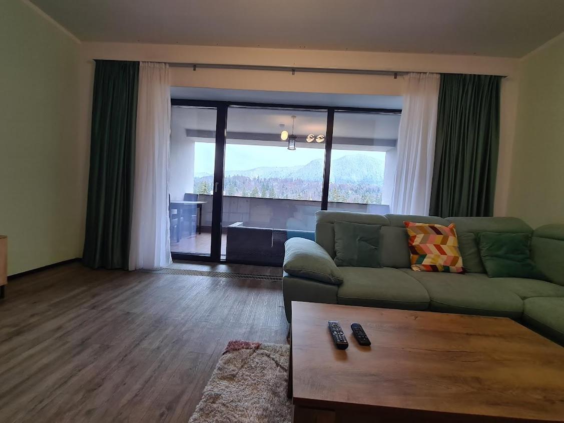 Fabulous Panorama Silver Mountain Apartments 波亚纳布拉索夫 外观 照片