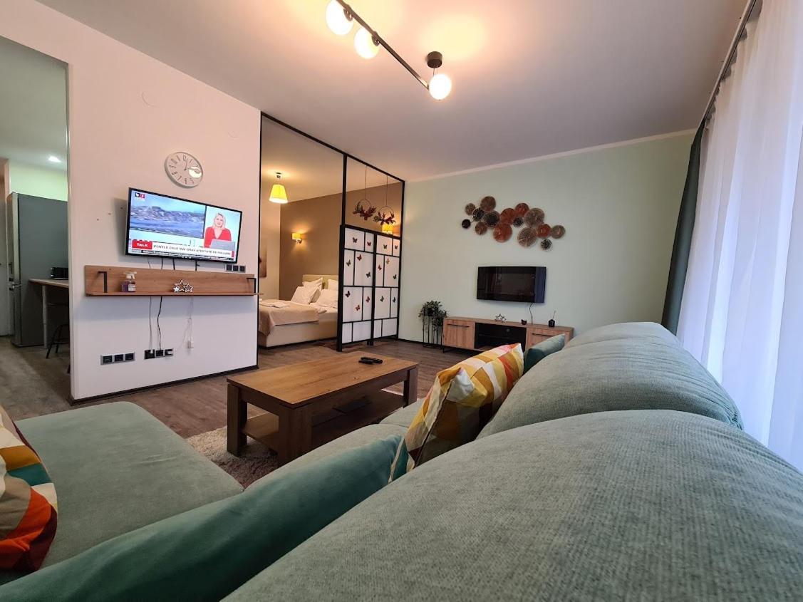 Fabulous Panorama Silver Mountain Apartments 波亚纳布拉索夫 外观 照片