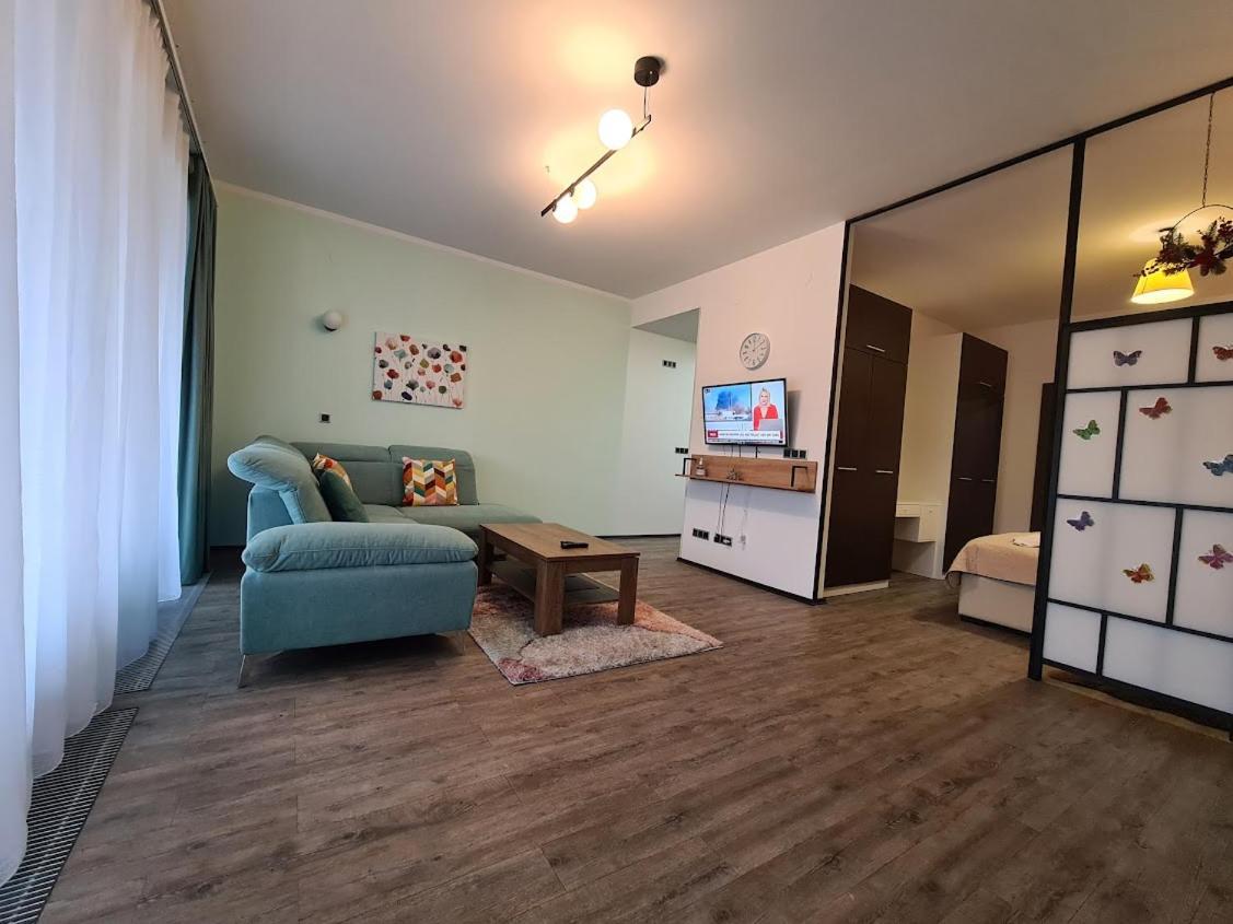 Fabulous Panorama Silver Mountain Apartments 波亚纳布拉索夫 外观 照片