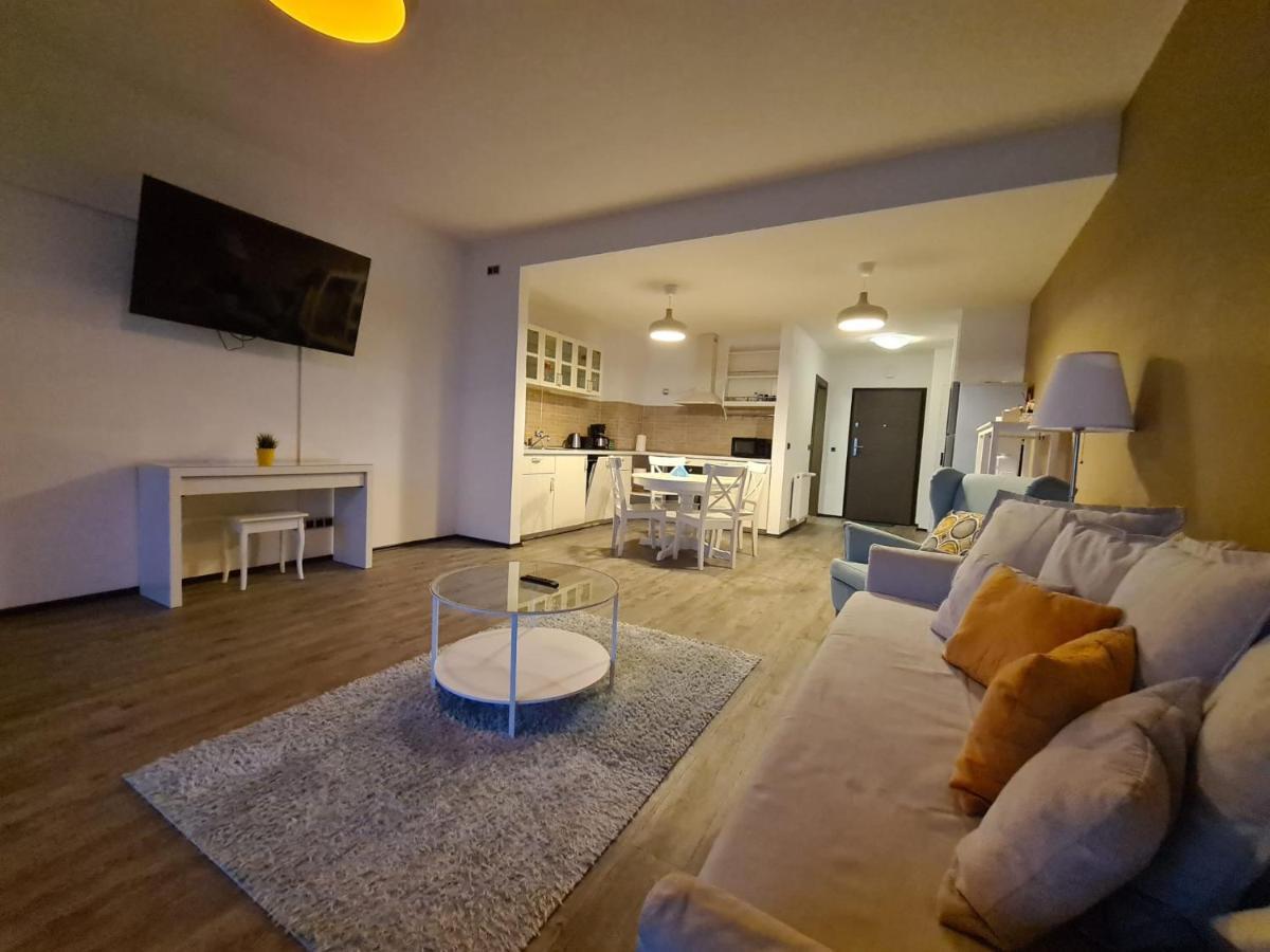 Fabulous Panorama Silver Mountain Apartments 波亚纳布拉索夫 外观 照片