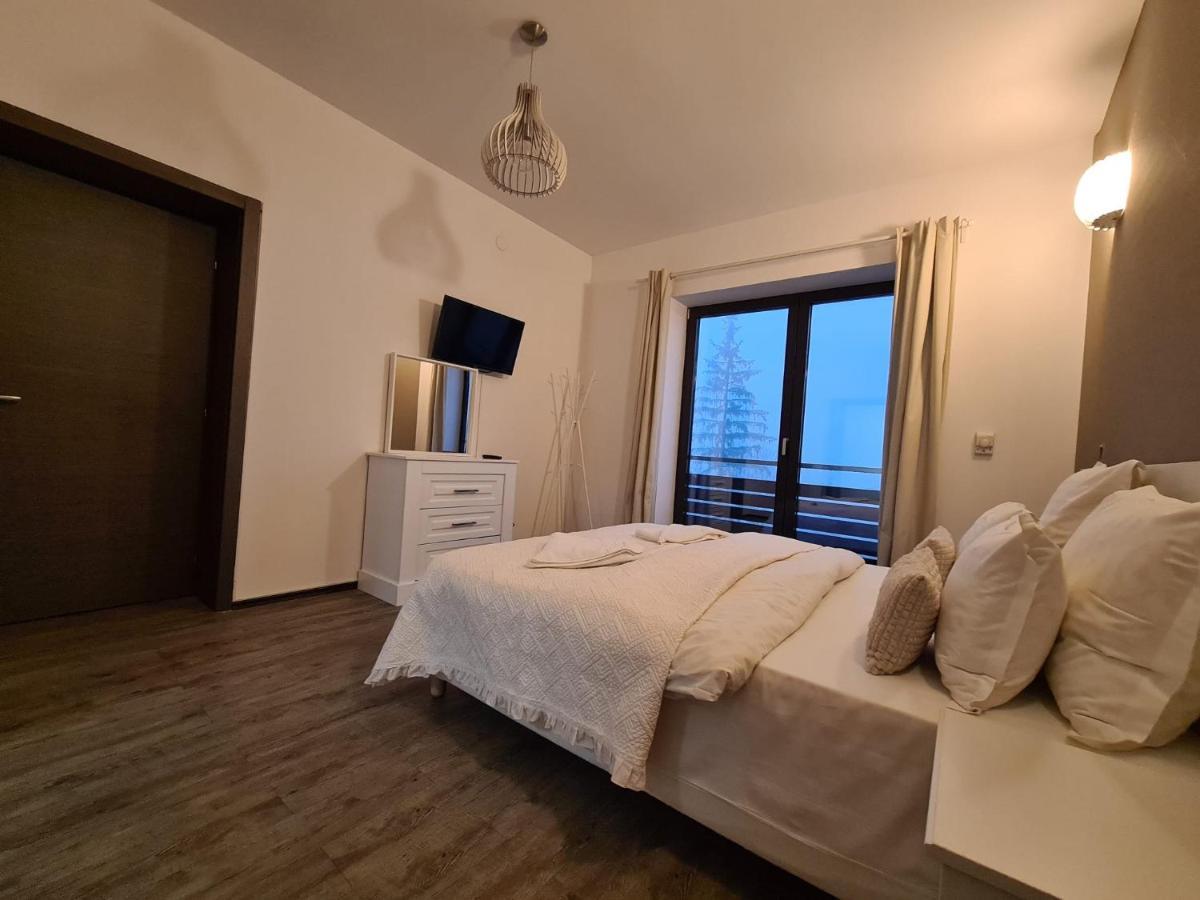 Fabulous Panorama Silver Mountain Apartments 波亚纳布拉索夫 外观 照片