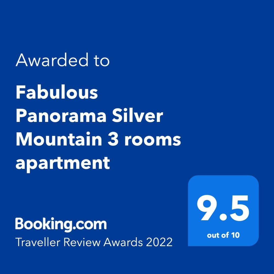 Fabulous Panorama Silver Mountain Apartments 波亚纳布拉索夫 外观 照片