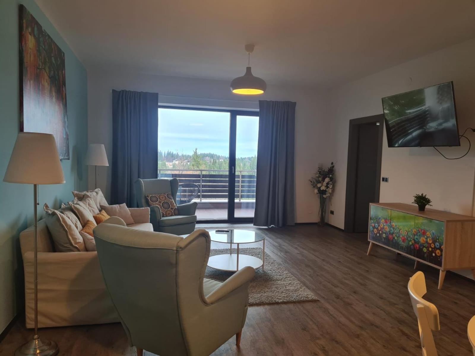 Fabulous Panorama Silver Mountain Apartments 波亚纳布拉索夫 外观 照片