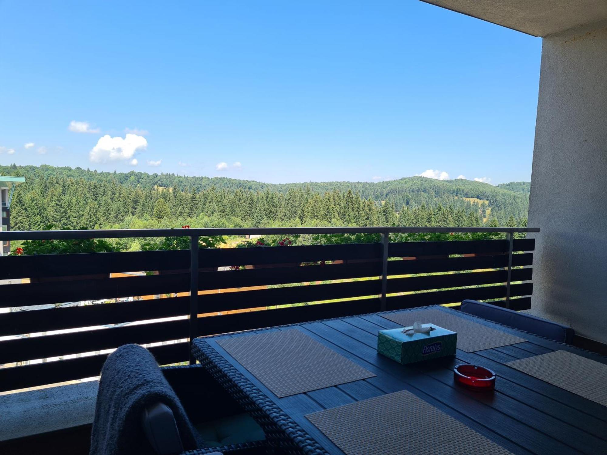 Fabulous Panorama Silver Mountain Apartments 波亚纳布拉索夫 外观 照片