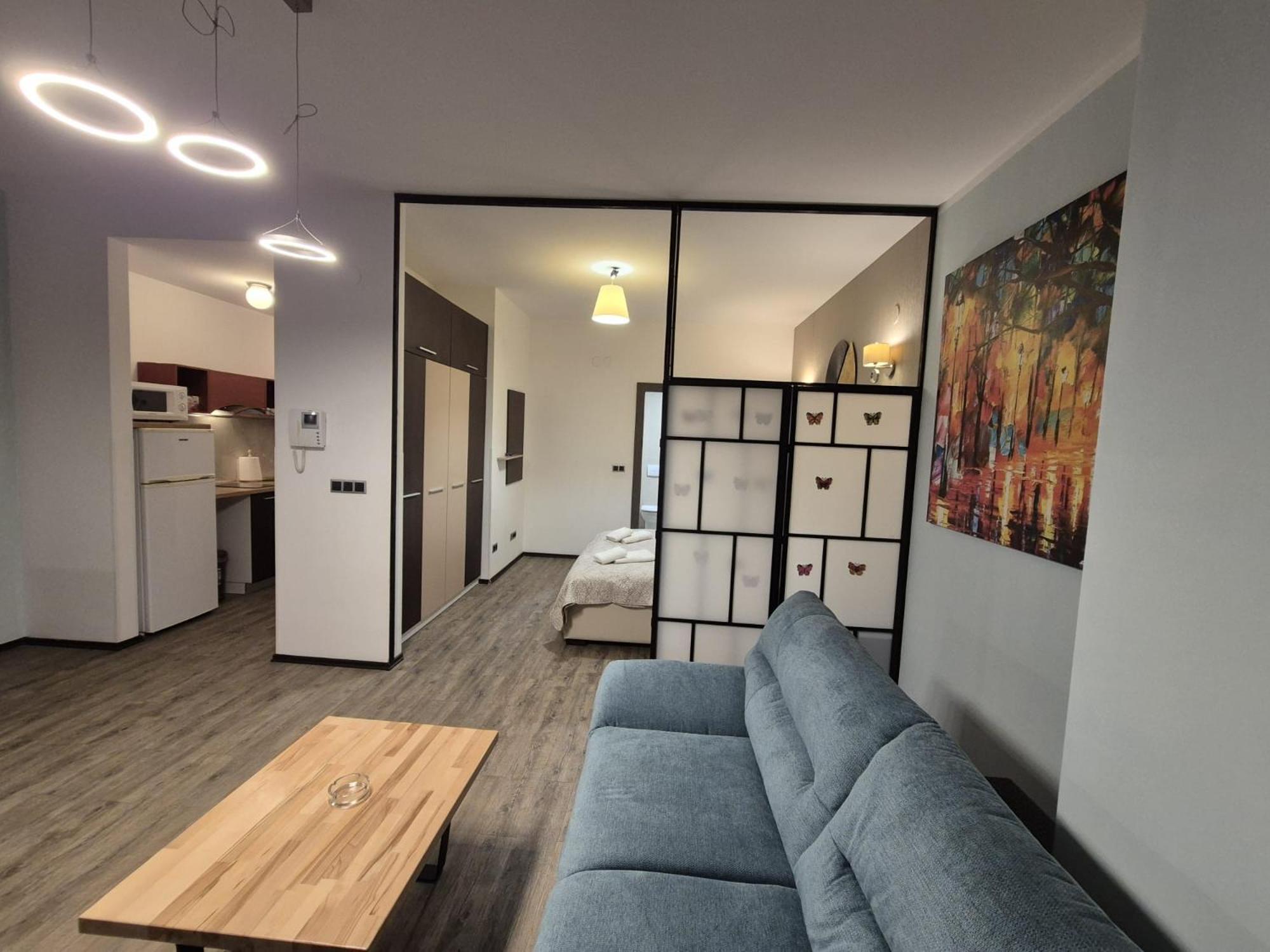 Fabulous Panorama Silver Mountain Apartments 波亚纳布拉索夫 外观 照片